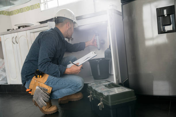 Best Affordable Plumber Near Me  in Eustis, FL