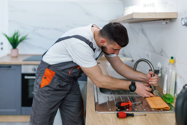 Best Residential Plumbing Services  in Eustis, FL
