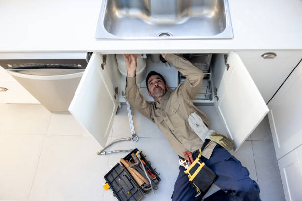 Best Commercial Plumbing Services  in Eustis, FL