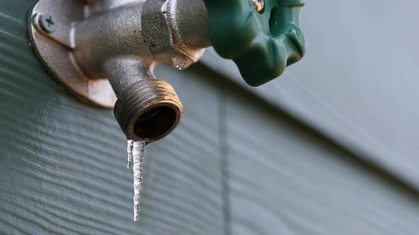 Best Same-Day Plumbing Service  in Eustis, FL